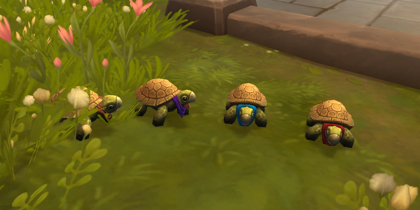 Kanalschildkroete von Dalaran